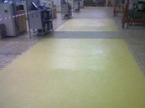 贝尔佐纳 (Belzona) 5231(SG 材料)结合混凝料,形成安全的抓持表面 贝尔佐纳 (Belzona) 5231(SG 材料)结合混凝料,形成安全的抓持表面